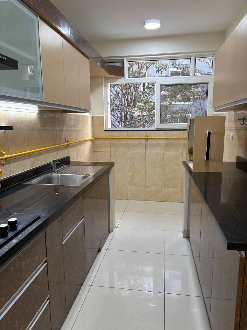 Sanitized Kitchen Counter & Sliding Windows