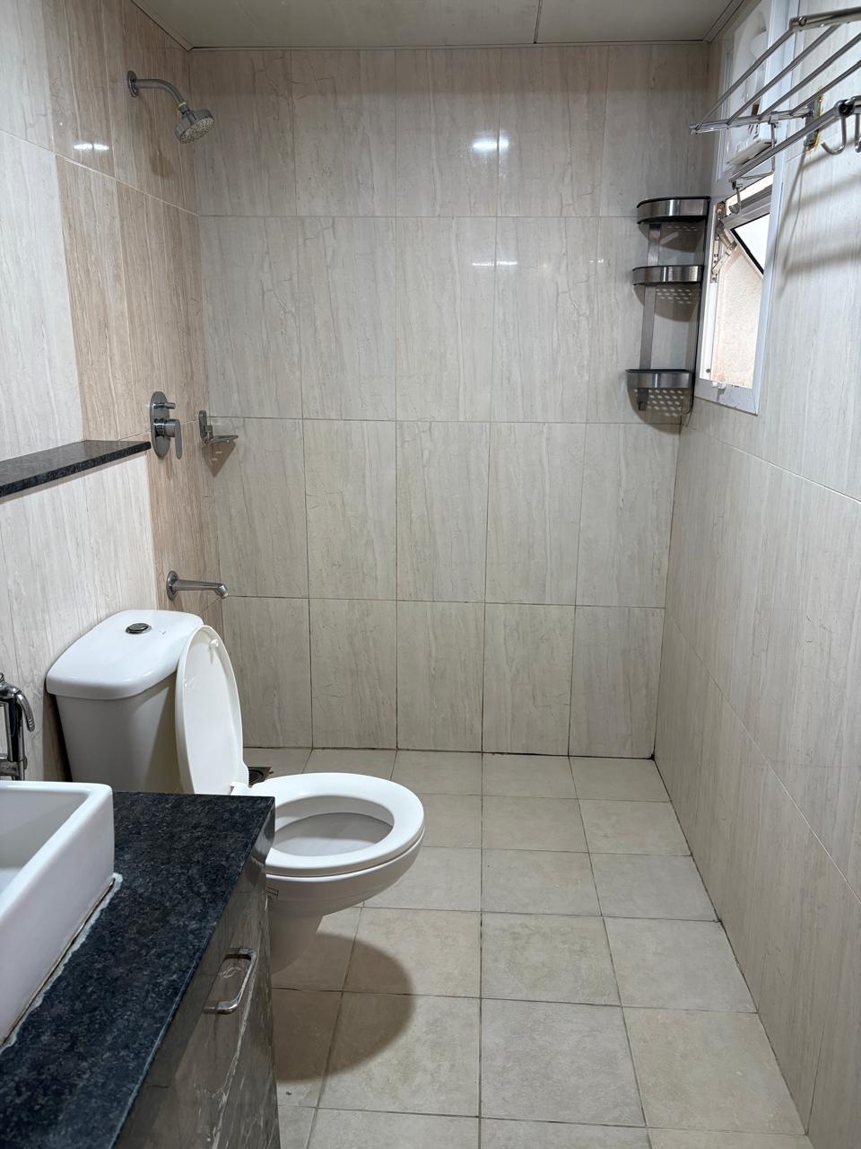 Shower Zone Hard Water Stain Removal